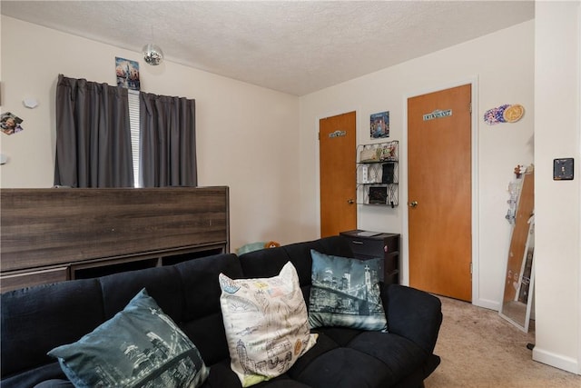 477 Pine Circle Ext, Big Flats, NY 14845 - living room featuring carpet flooring and a textured ceiling