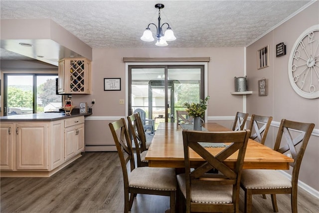 477 Pine Circle Ext, Big Flats, NY 14845 - dining area featuring a textured ceiling, dark wood-style floors, a chandelier, and a baseboard heating unit