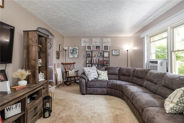 477 Pine Circle Ext, Big Flats, NY 14845 - living room with arched walkways, light carpet, a textured ceiling, and cooling unit