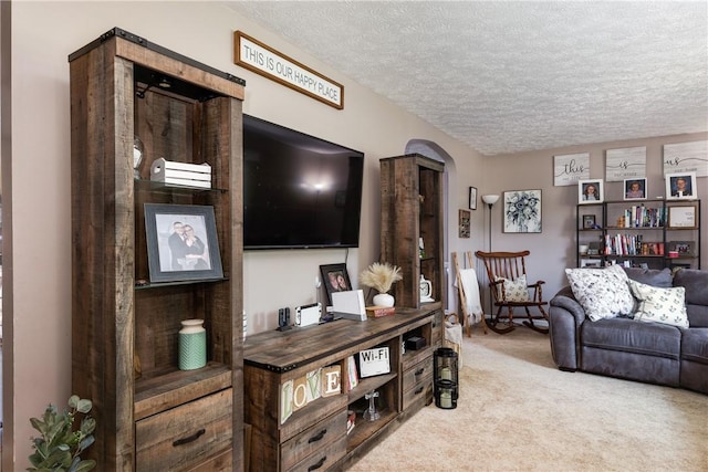 477 Pine Circle Ext, Big Flats, NY 14845 - living area with a textured ceiling, carpet floors, and arched walkways