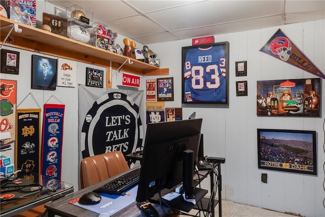 477 Pine Circle Ext, Big Flats, NY 14845 - view of carpeted office