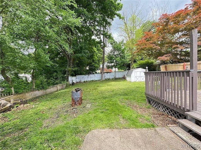 7 High St, Lyons, NY 14489 - fenced backyard with a storage shed and a deck