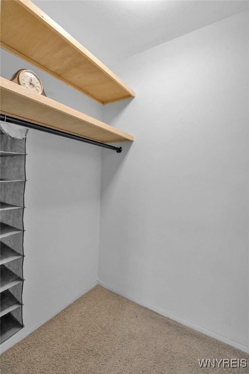849 Delaware Ave Unit 404, Buffalo, NY 14209 - walk in closet featuring carpet