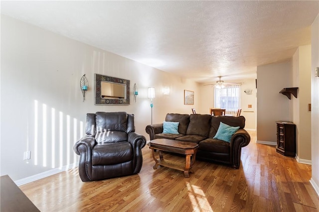 80 Autumn Chapel Way, Chili, NY 14624 - living area with light wood-style floors, ceiling fan, and a textured ceiling