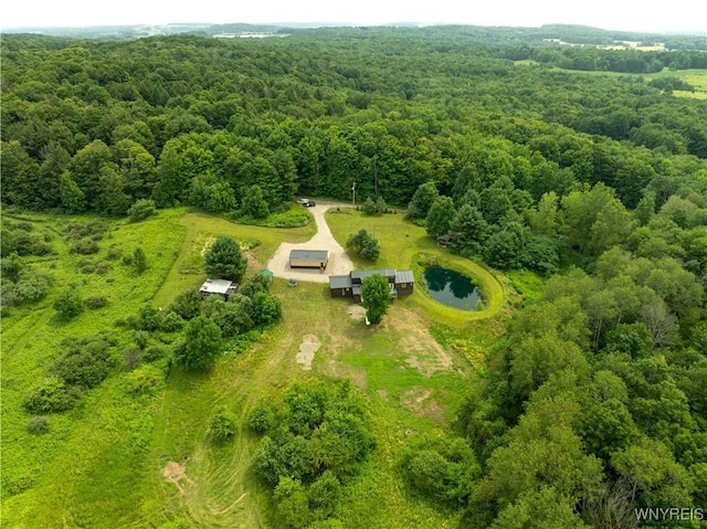 2890 Eagles Nest Rd, Yorkshire, NY 14042 - bird's eye view of a forest