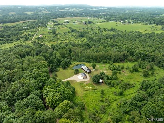 2890 Eagles Nest Rd, Yorkshire, NY 14042 - view of rural area featuring a heavily wooded area