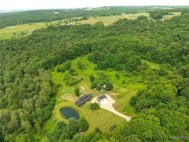 2890 Eagles Nest Rd, Yorkshire, NY 14042 - bird's eye view of a heavily wooded area