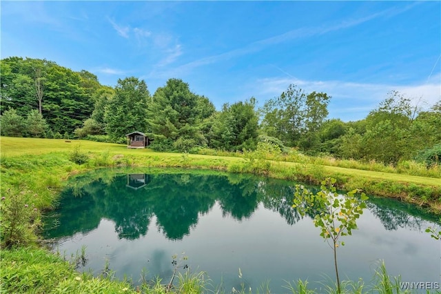 2890 Eagles Nest Rd, Yorkshire, NY 14042 - water view featuring a forest