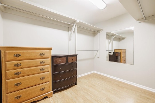 263 Volk Rd, Webster, NY 14580 - walk in closet featuring light wood-style flooring