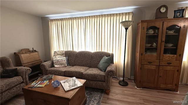 1330 Maple Rd Unit 4, Amherst, NY 14221 - living room with light wood finished floors