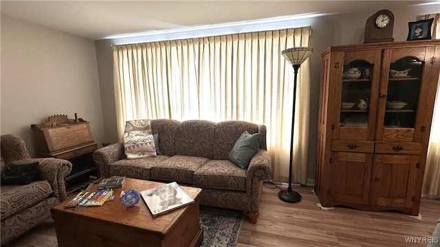 1330 Maple Rd Unit 4, Amherst, NY 14221 - living area with light wood finished floors