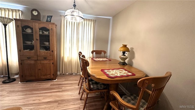 1330 Maple Rd Unit 4, Amherst, NY 14221 - dining room featuring light wood-type flooring