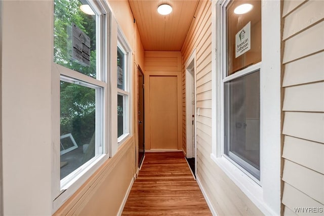 285 E N St Unit S, Buffalo, NY 14204 - corridor featuring wood finished floors and wood ceiling
