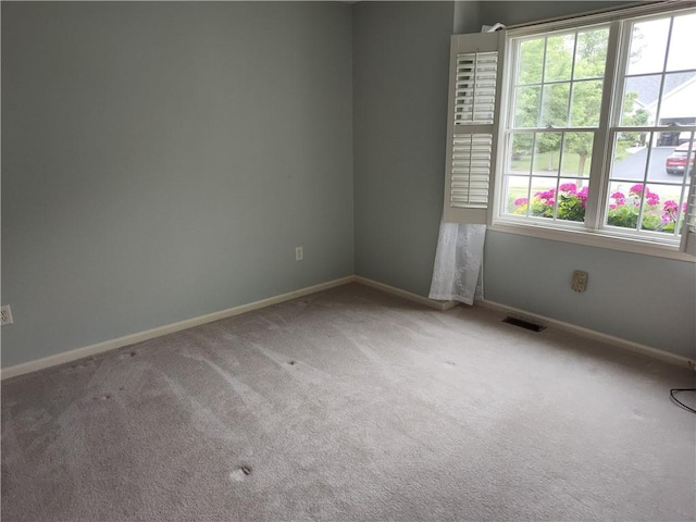 112 Stewart Pl, Canandaigua City, NY 14424 - photo 17