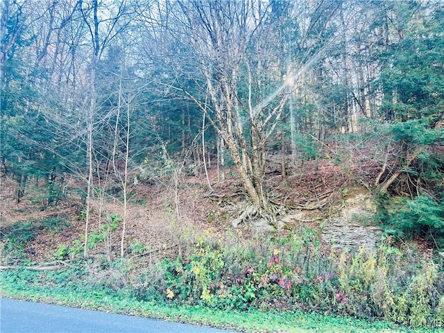 0 W Cheningo Rd, Truxton, NY 13158
