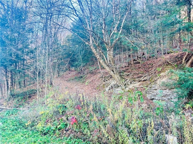 0 W Cheningo Rd, Truxton, NY 13158