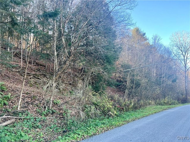 0 W Cheningo Rd, Truxton, NY 13158