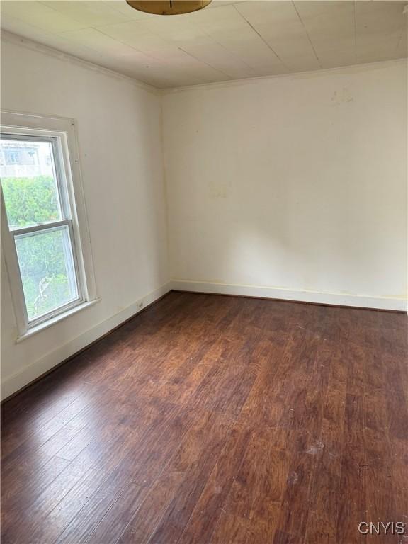 8 Spring St, Auburn, NY 13021 - spare room featuring dark wood finished floors and crown molding