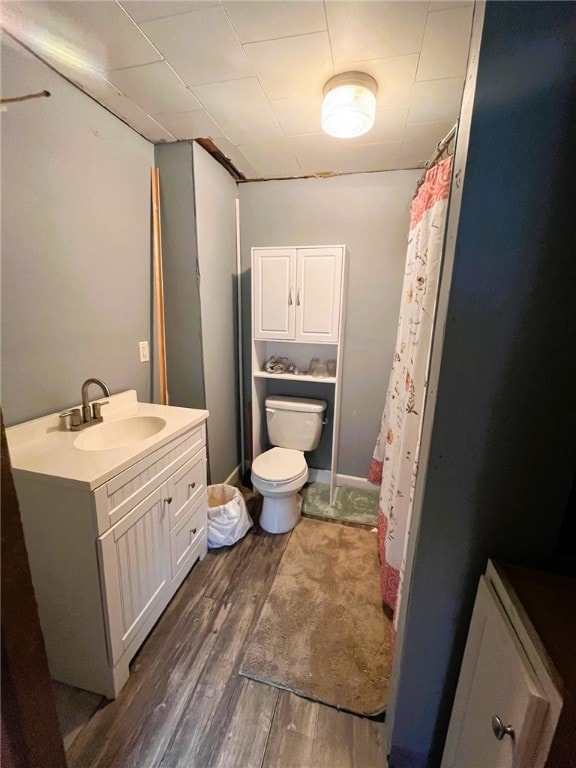 33 E Vanscoter St, Hornell, NY 14843 - bathroom featuring wood finished floors, vanity, and curtained shower