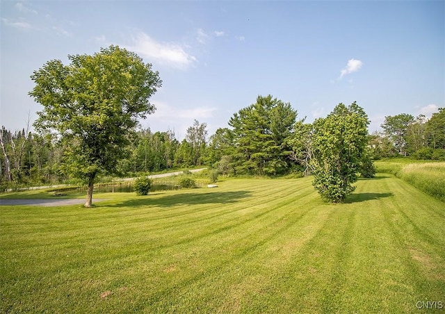 4022 W Milestrip Rd, Fenner, NY 13032 - view of grassy yard