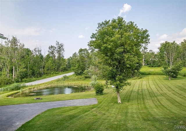 4022 W Milestrip Rd, Fenner, NY 13032 - view of property's community featuring a water view and a yard