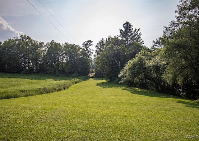 4022 W Milestrip Rd, Fenner, NY 13032 - view of green lawn