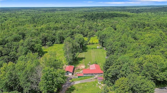 1037 County Route 17, Constantia, NY 13028 - bird's eye view of a heavily wooded area
