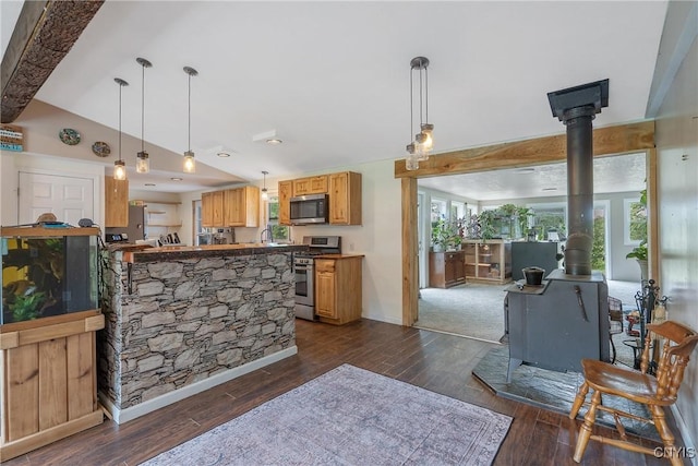 1037 County Route 17, Constantia, NY 13028 - kitchen with appliances with stainless steel finishes, a wood stove, plenty of natural light, dark wood-style flooring, and lofted ceiling