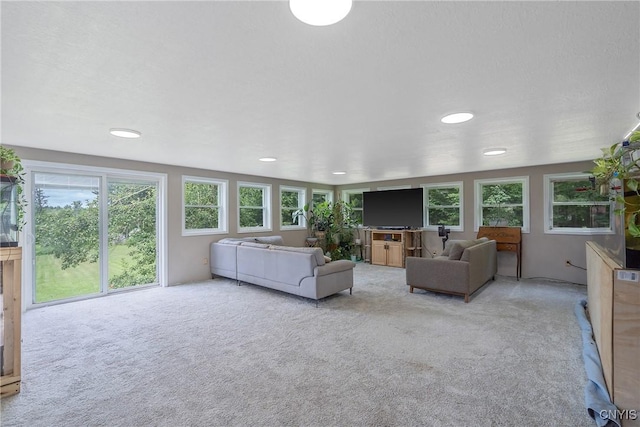 1037 County Route 17, Constantia, NY 13028 - living room featuring plenty of natural light, light carpet, and recessed lighting