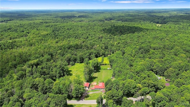 1037 County Route 17, Constantia, NY 13028 - drone / aerial view of a forest