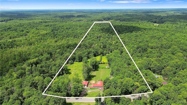 1037 County Route 17, Constantia, NY 13028 - aerial view of property's location with property boundaries highlighted