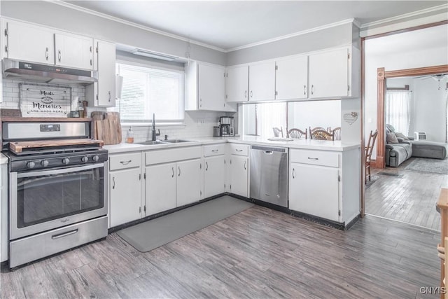 20199 County Route 181, Orleans, NY 13656 - kitchen featuring stainless steel appliances, under cabinet range hood, plenty of natural light, light countertops, and ornamental molding