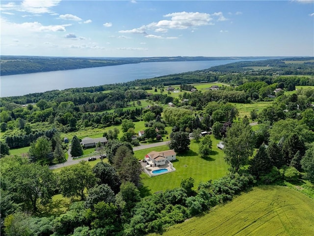 1566 Tracy Dr, Spafford, NY 13152 - drone / aerial view of a nearby body of water and a heavily wooded area