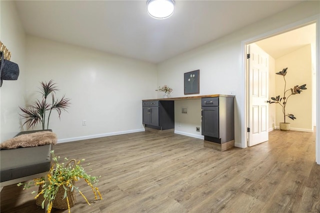 23 Kerry Park, Henrietta, NY 14534 - unfurnished office featuring light wood-style flooring and baseboards