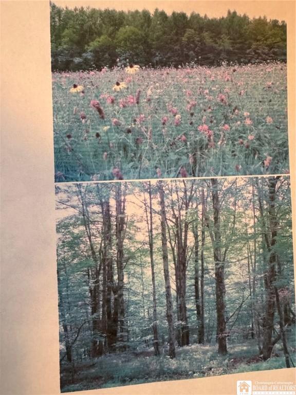 7285 County Road 15, Angelica, NY 14709 - photo 2