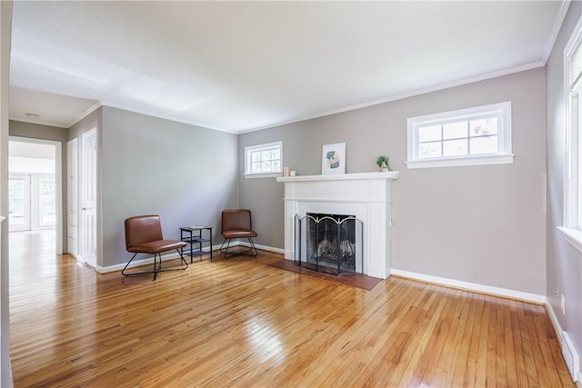 79 Meredith Ave, Brighton, NY 14618 - living area with light wood-style flooring, a fireplace, and crown molding