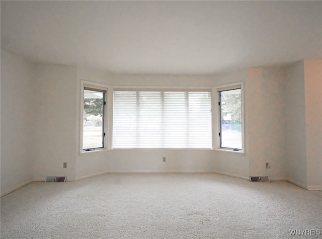 100 W Maplemere Rd, Amherst, NY 14221 - empty room featuring plenty of natural light and light carpet