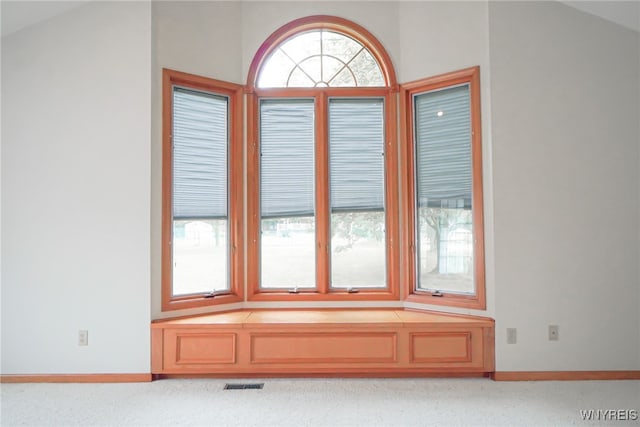 100 W Maplemere Rd, Amherst, NY 14221 - detailed view of baseboards