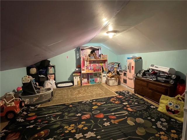 22 Jefferson St, North Dansville, NY 14437 - additional living space with lofted ceiling