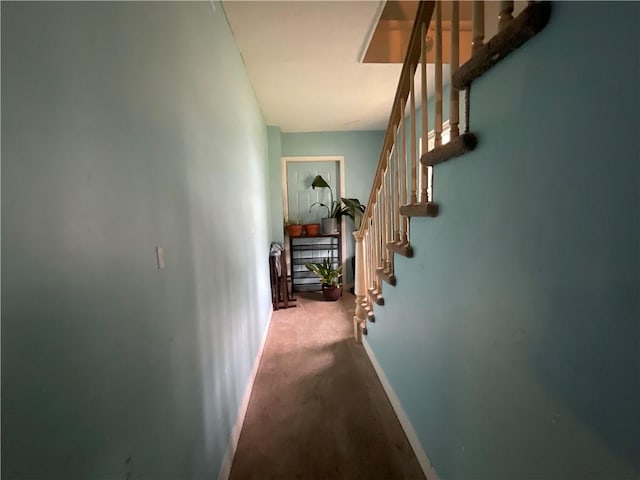 22 Jefferson St, North Dansville, NY 14437 - hall with stairway and carpet flooring