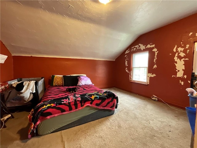 22 Jefferson St, North Dansville, NY 14437 - bedroom with vaulted ceiling and carpet