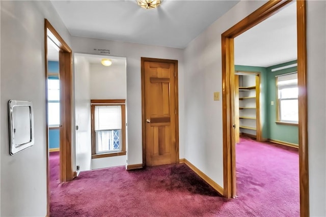 128 Princeton Blvd, Tonawanda, NY 14217 - hallway with dark carpet and baseboards