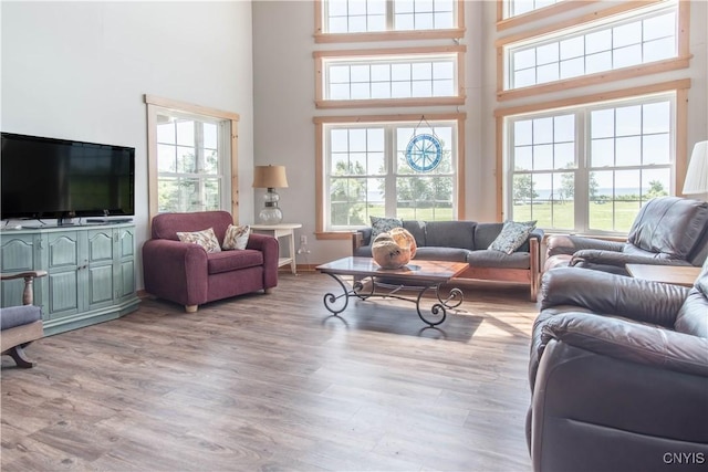 1812 Grenadier Island Rd Unit 1, Cape Vincent, NY 13618 - living area with a towering ceiling and wood finished floors