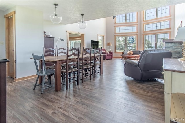 1812 Grenadier Island Rd Unit 1, Cape Vincent, NY 13618 - dining area with wood finished floors and a textured ceiling