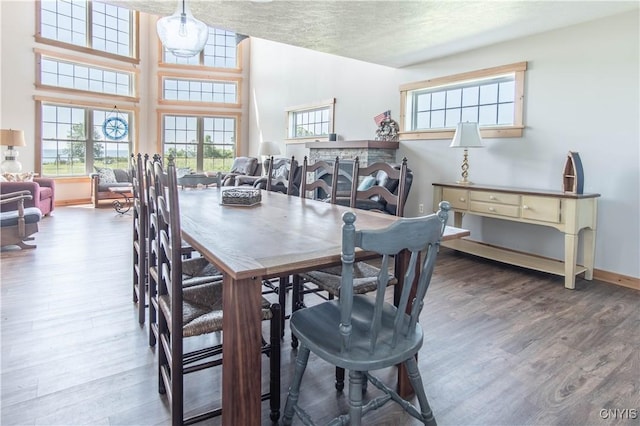 1812 Grenadier Island Rd Unit 1, Cape Vincent, NY 13618 - dining room featuring wood finished floors, plenty of natural light, and a textured ceiling