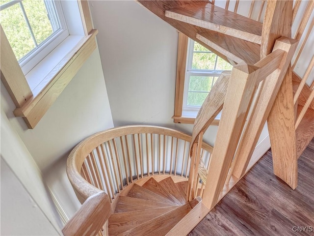 1812 Grenadier Island Rd Unit 1, Cape Vincent, NY 13618 - staircase with wood finished floors