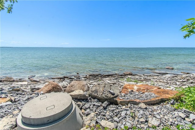 1812 Grenadier Island Rd Unit 1, Cape Vincent, NY 13618 - water view