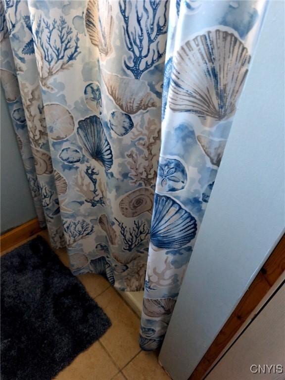 1812 Grenadier Island Rd Unit 1, Cape Vincent, NY 13618 - detailed view of a shower with shower curtain