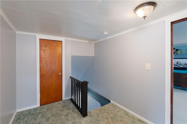 82 Maple St, Canisteo, NY 14823 - hallway with an upstairs landing, carpet floors, and crown molding