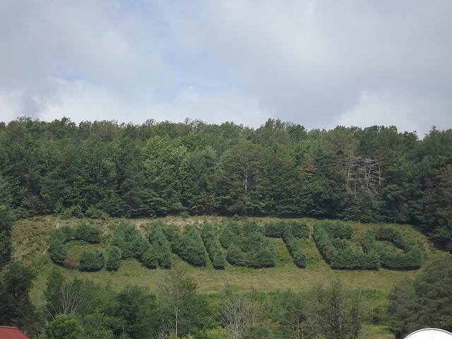 82 Maple St, Canisteo, NY 14823 - view of tree filled area